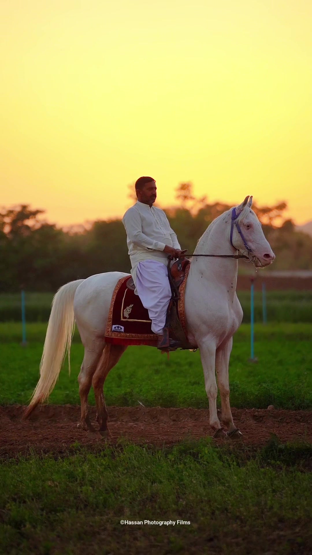 @SUNRISE STUD FARMS RAWALPINDI