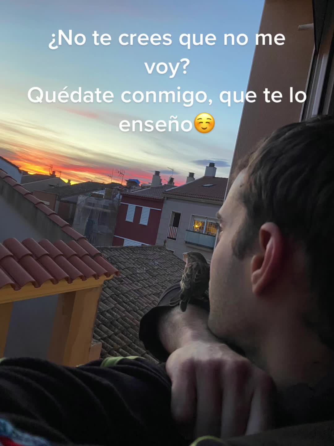 @saravtsmk