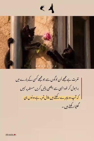 @Asad Wahla