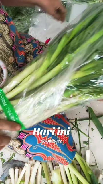 @supplier sayur dan buah sby
