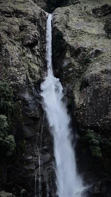 @Jyoti 🕊️❤️