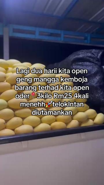 @Terpaling_Areyoii96
