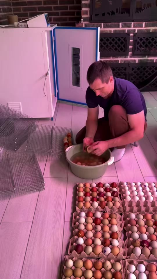 @petrovchankalerka