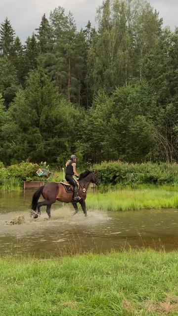 @Minja Hindström