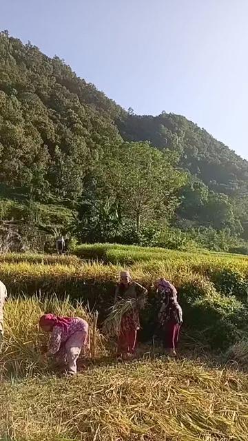@Mina Kunwar