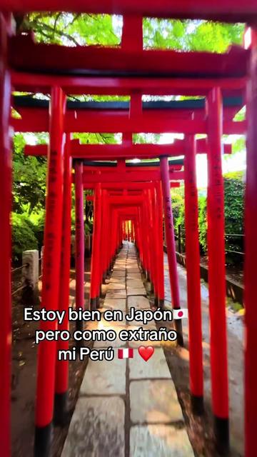 @🇵🇪Jackyhida🇯🇵