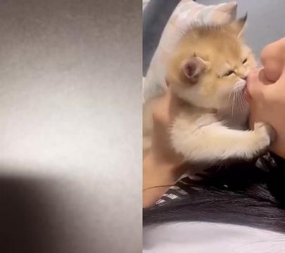@cutecatterr