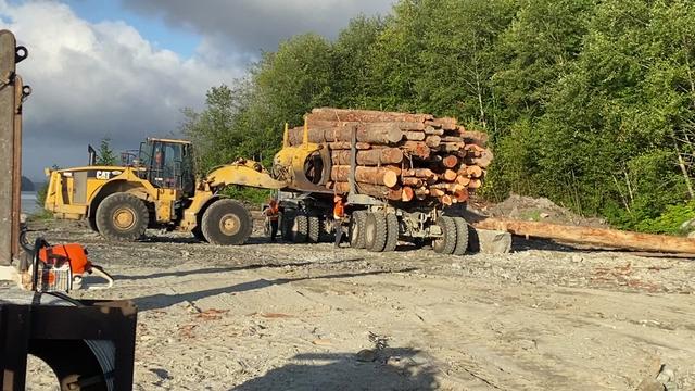 @coastalforestfarmers