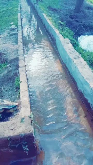 @SUKH SAAB