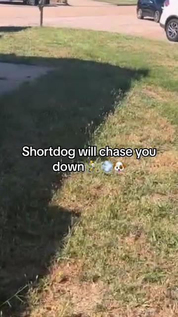 @poohbie2trill&shortdog