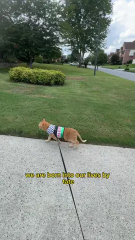 @Nanoos & Reem