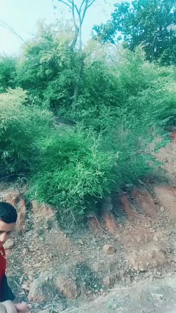 @🦁Vipin rajput 🦁