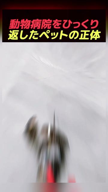 @user7790937915758