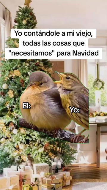 @Paloma