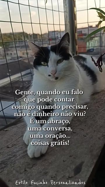 @Estilo Fucinho😻Personalizados