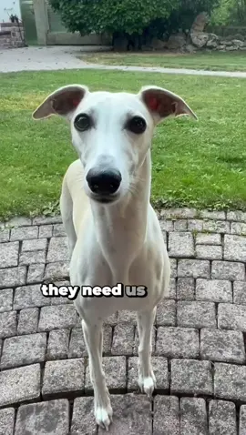 @Paula