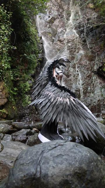 @Angels_PawPrint