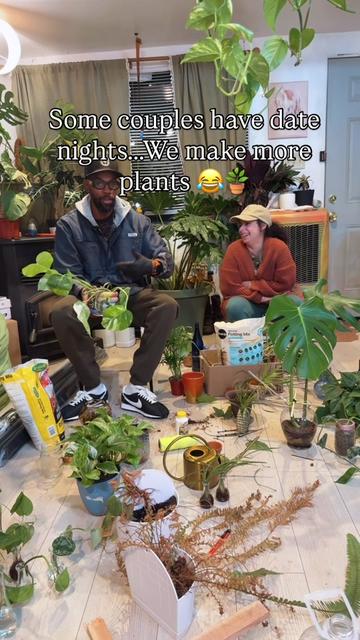@plant_trappin