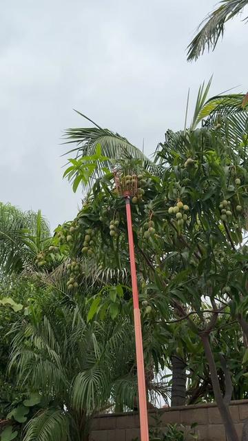 @Rosalba Rios Cortez