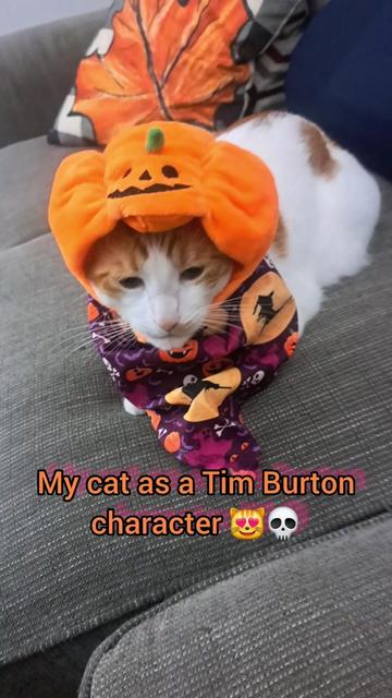 @Candice & Weasley