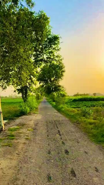 @Sukhchain Bains