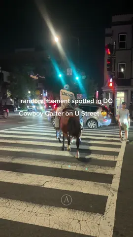 @𝖆𝖉𝖆 &bull; things to do in dc 💌