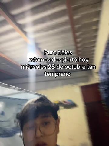 @Alexcastro