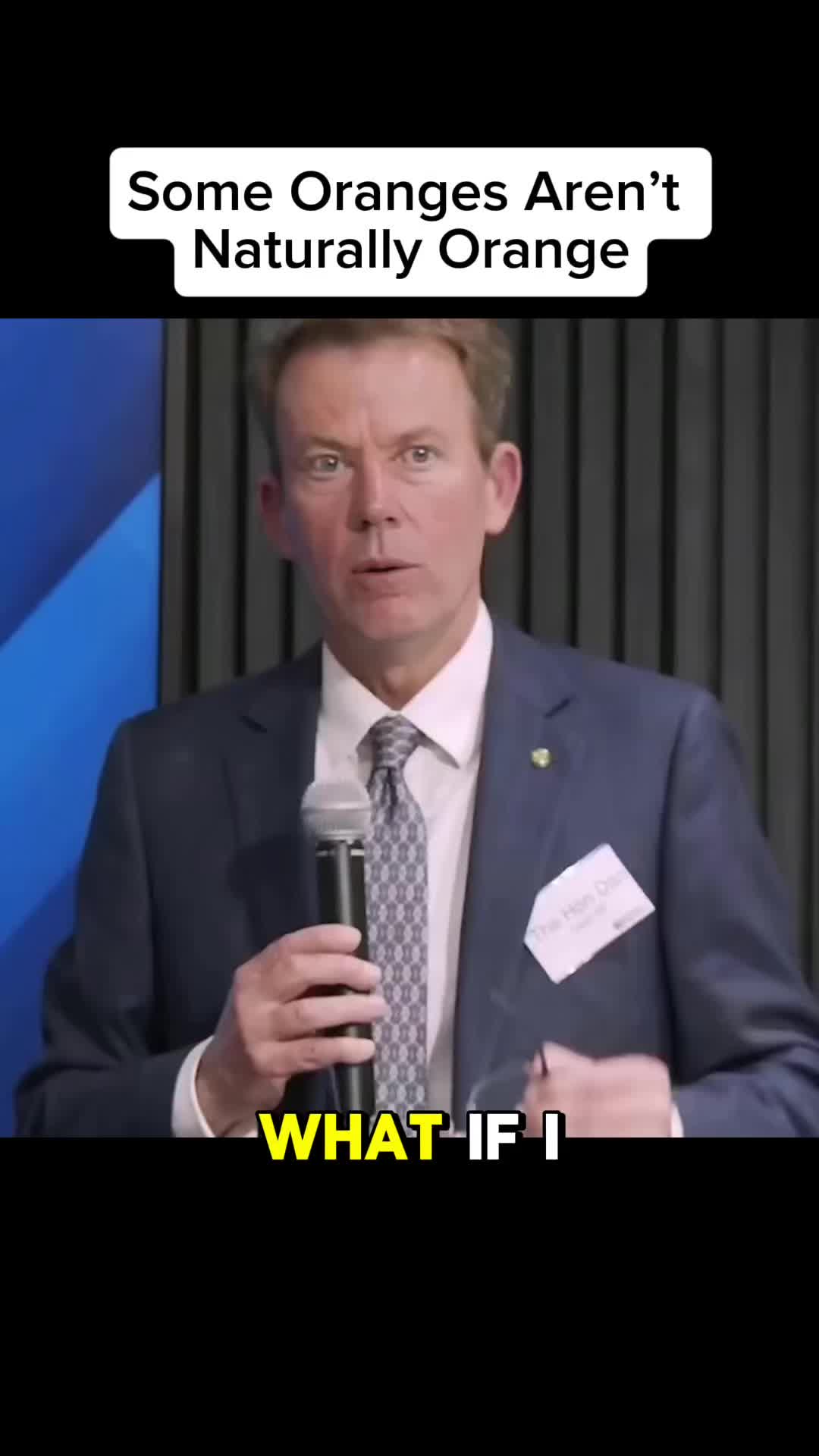 @Seed Quest