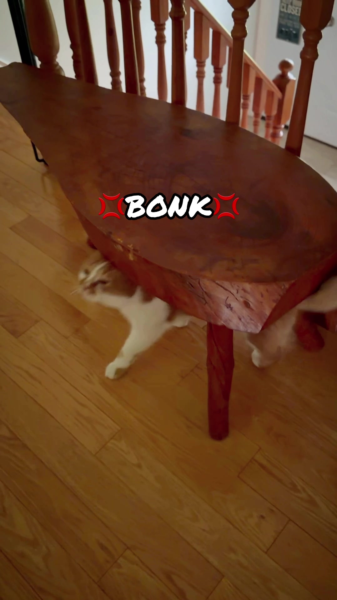 @Beauty and the Bean