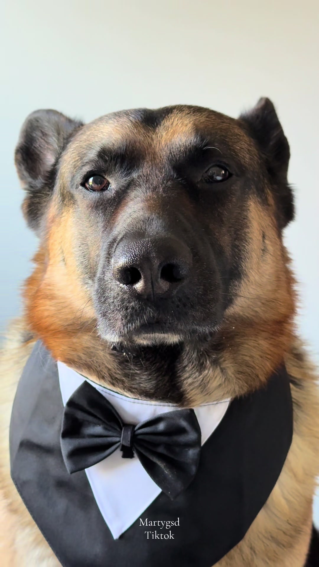 @Martygsd
