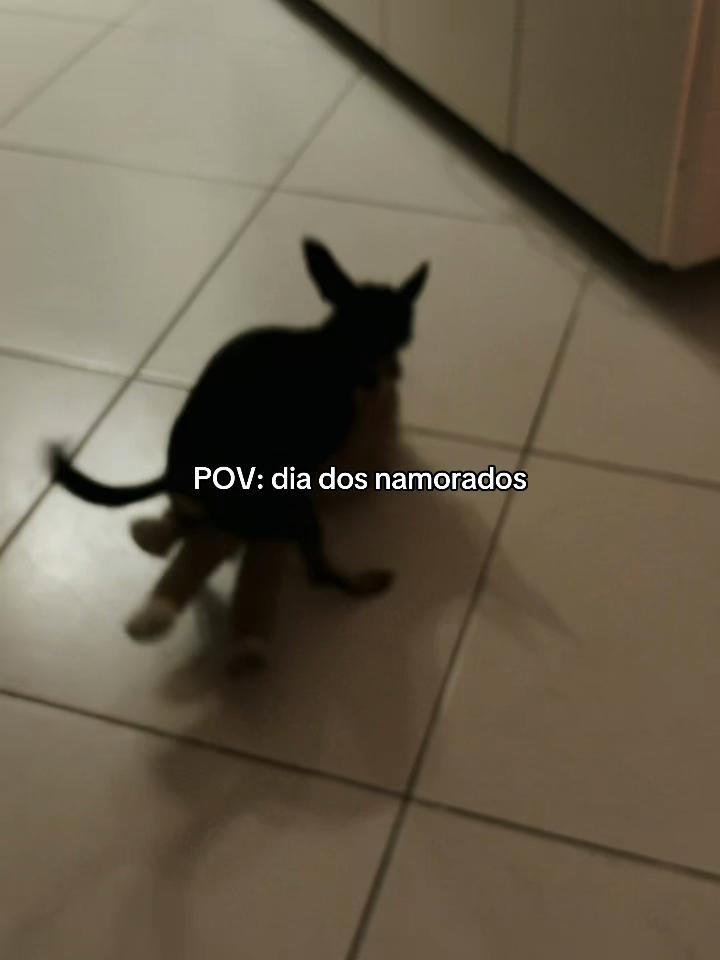 @larimoliv