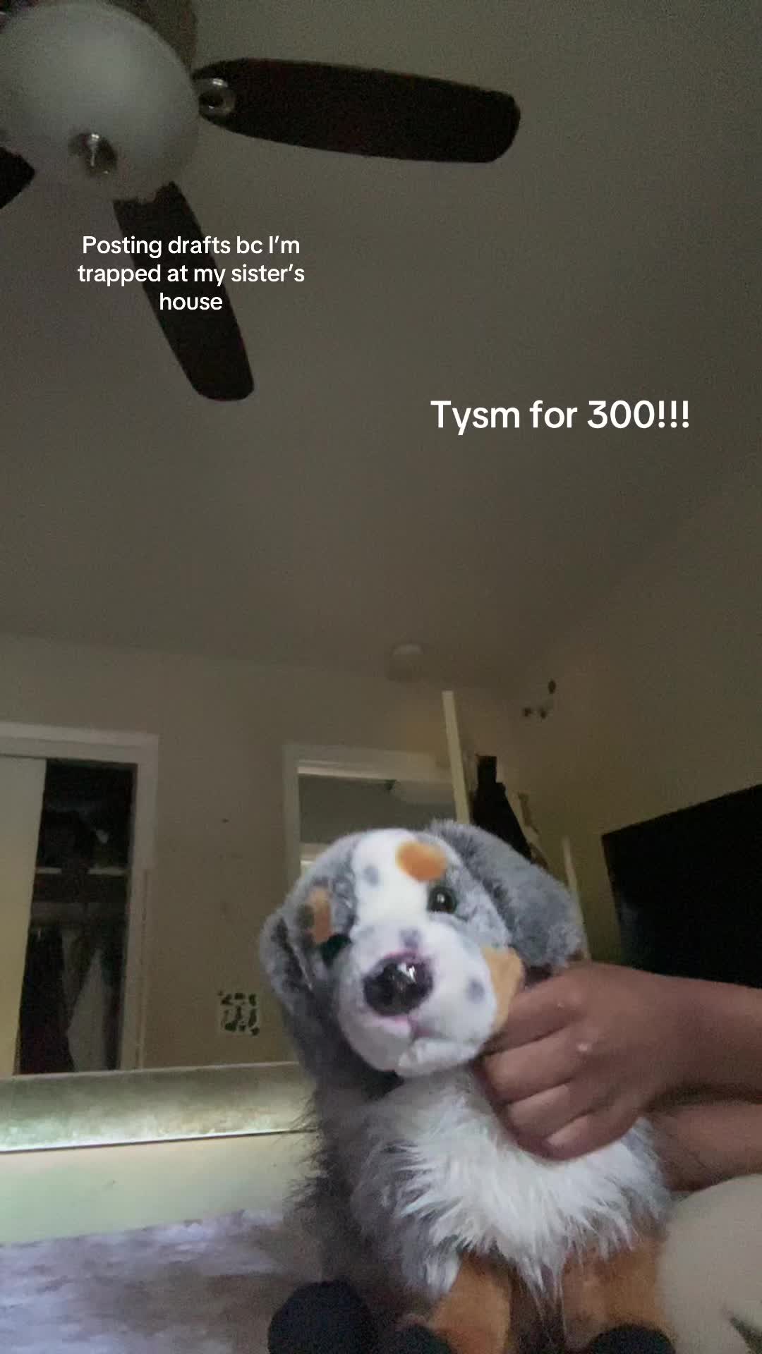 @⋆🐾° 𝔭𝔲𝔭 𝔭𝔞𝔠𝔨 ⋆🐾°