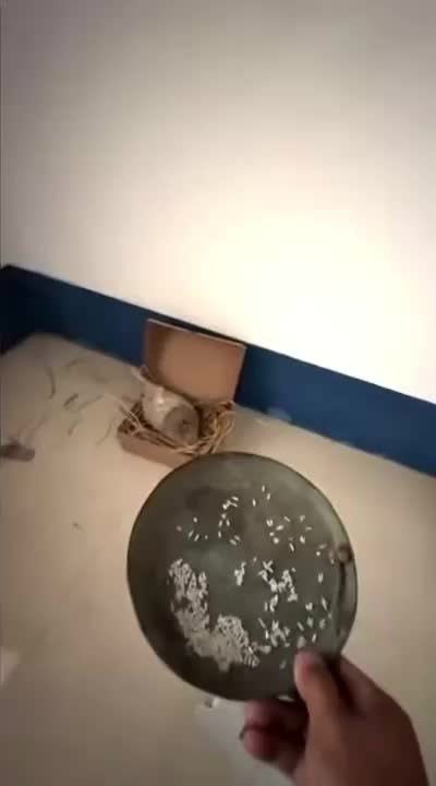 @Funny