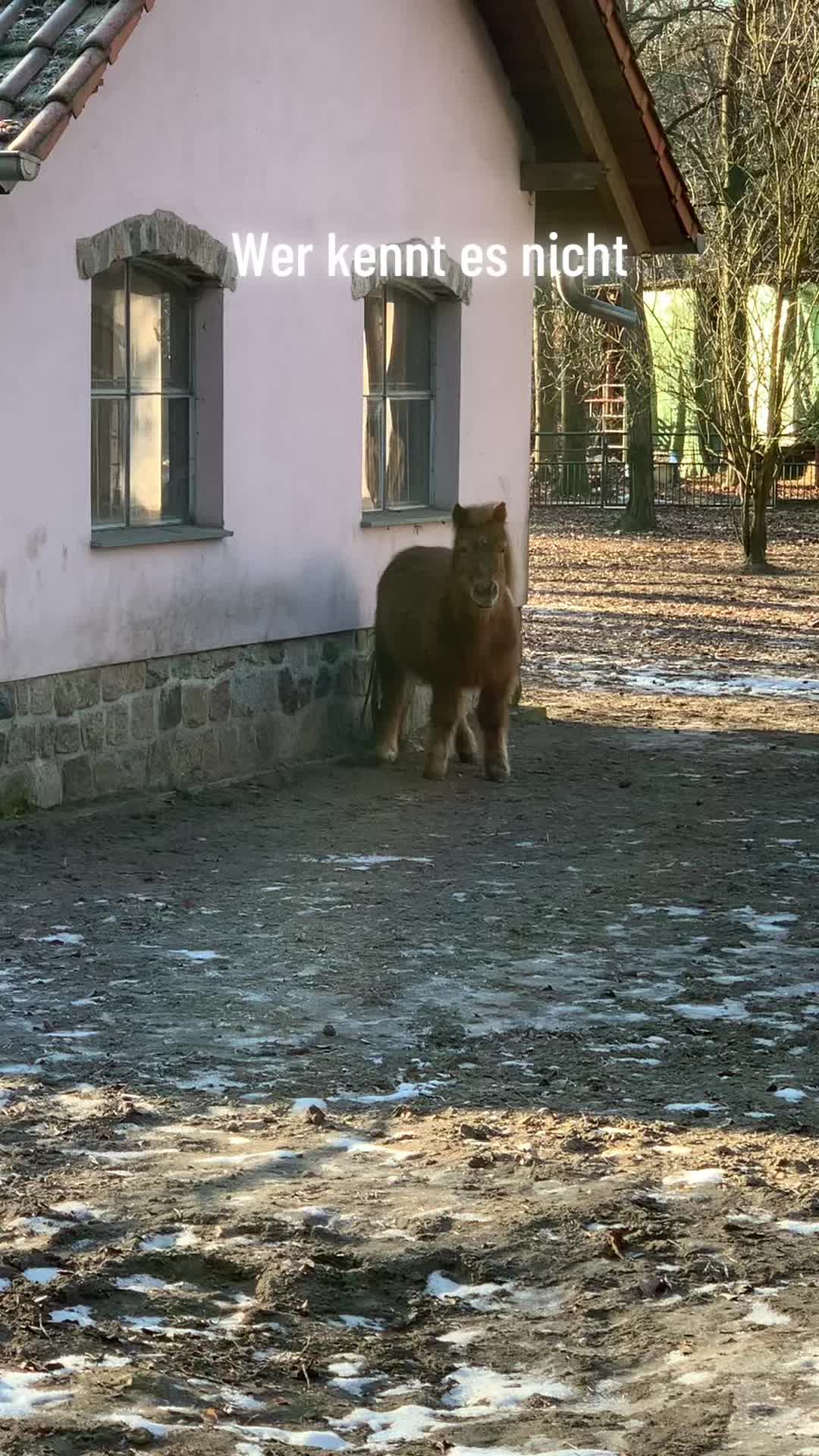 @Der Notfallsanitäter