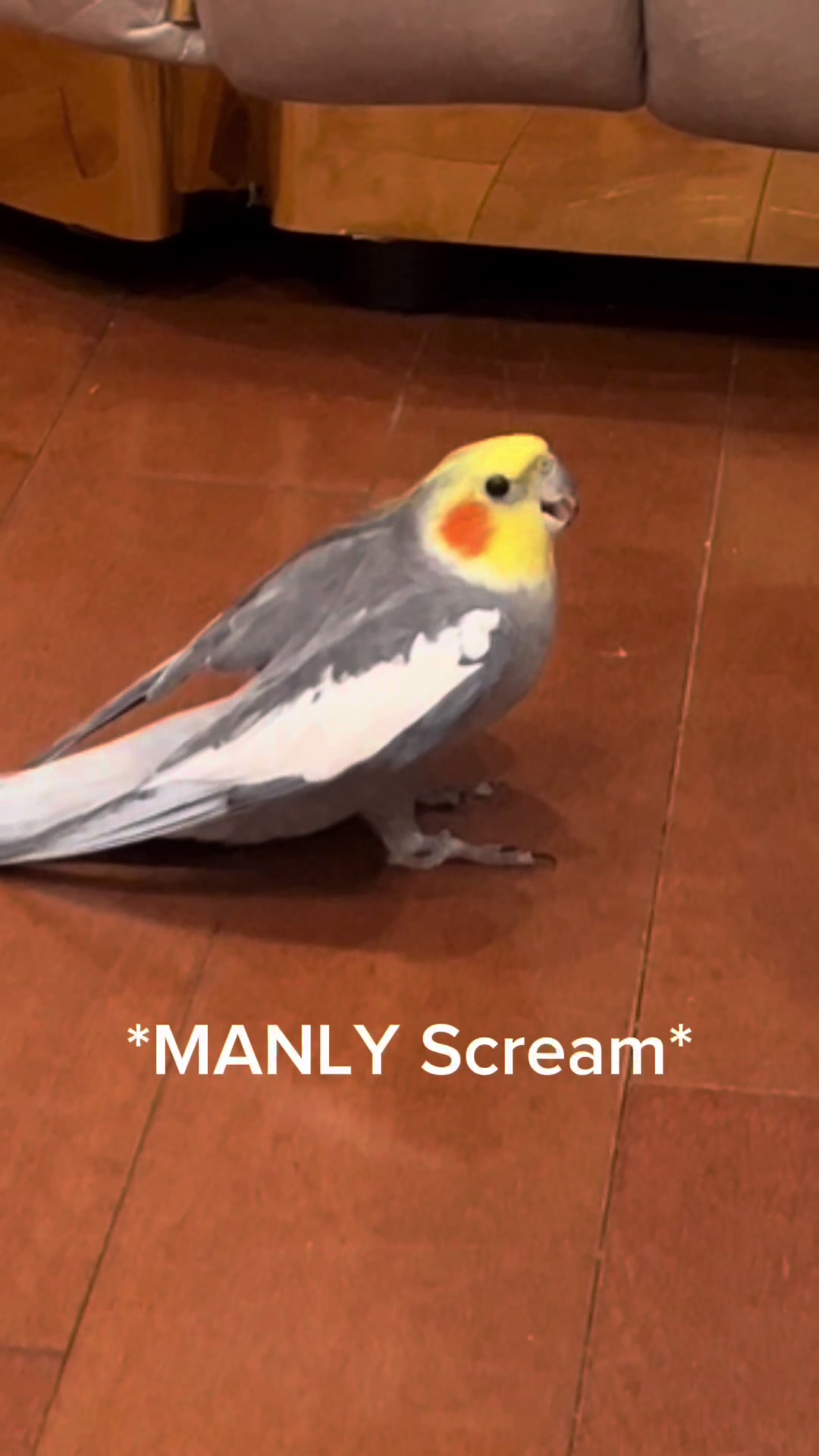 @Emery The Branch Manager