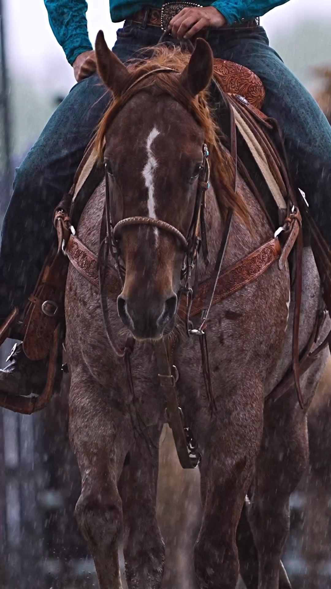 @Hanginghorses