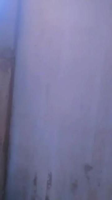@Nayibexul