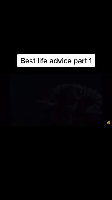 @life_Advice1223