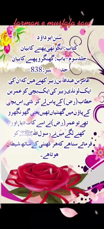 @Max Info