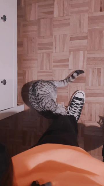 @maelys_et_todoroki