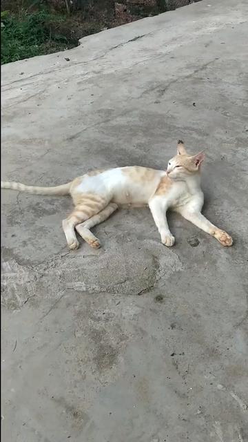 @Lopamudra Tripathy
