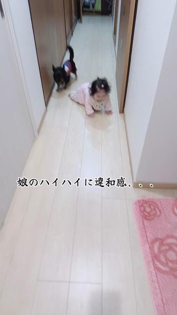 @おとうふちゃん🫠🫧