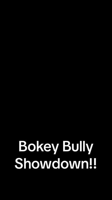 @bgbullies_
