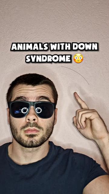 @JesseAndMike