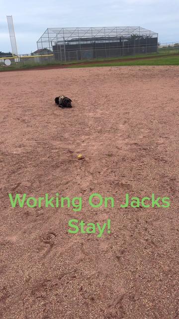 @JackAndJoey