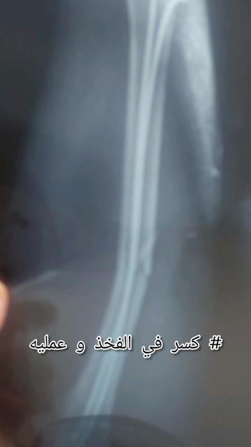 @D. Rafik رفيق دواهم