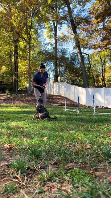 @thewoofpacknc