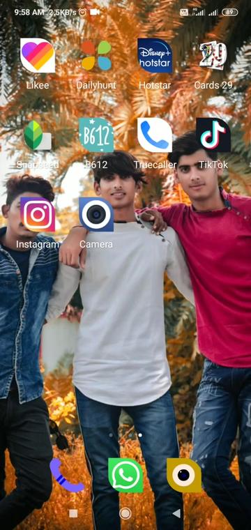 @Roy Shahab
