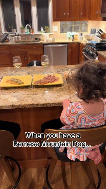 @Ivy the Berner