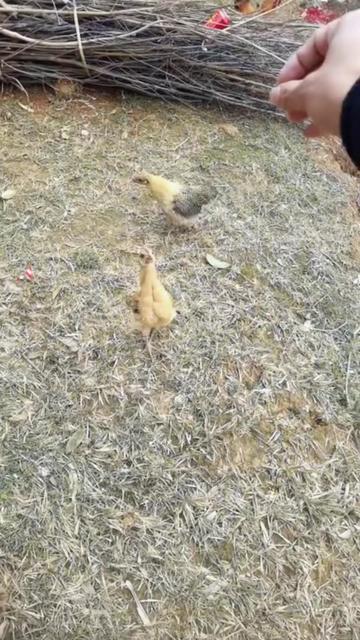 @rural.life97